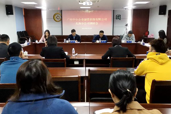中小擔(dān)保領(lǐng)導(dǎo)赴北海、防城港調(diào)研 